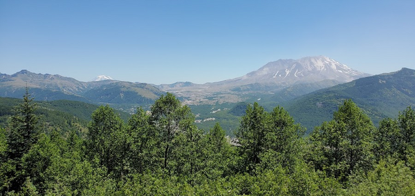 20210627_133516.jpg