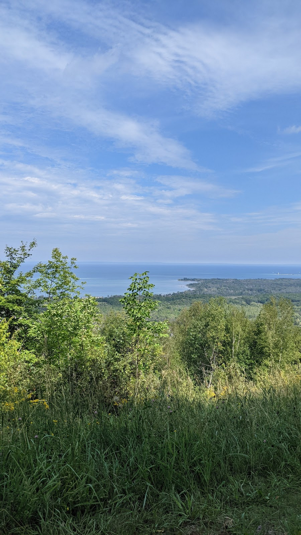 PXL_20210828_173324932.jpg