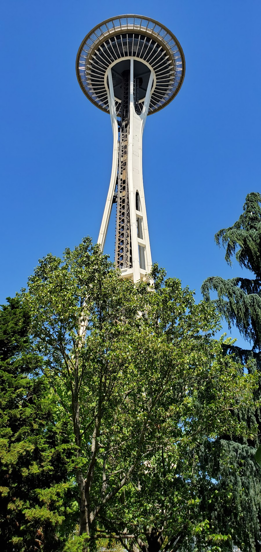 20210625_142335.jpg