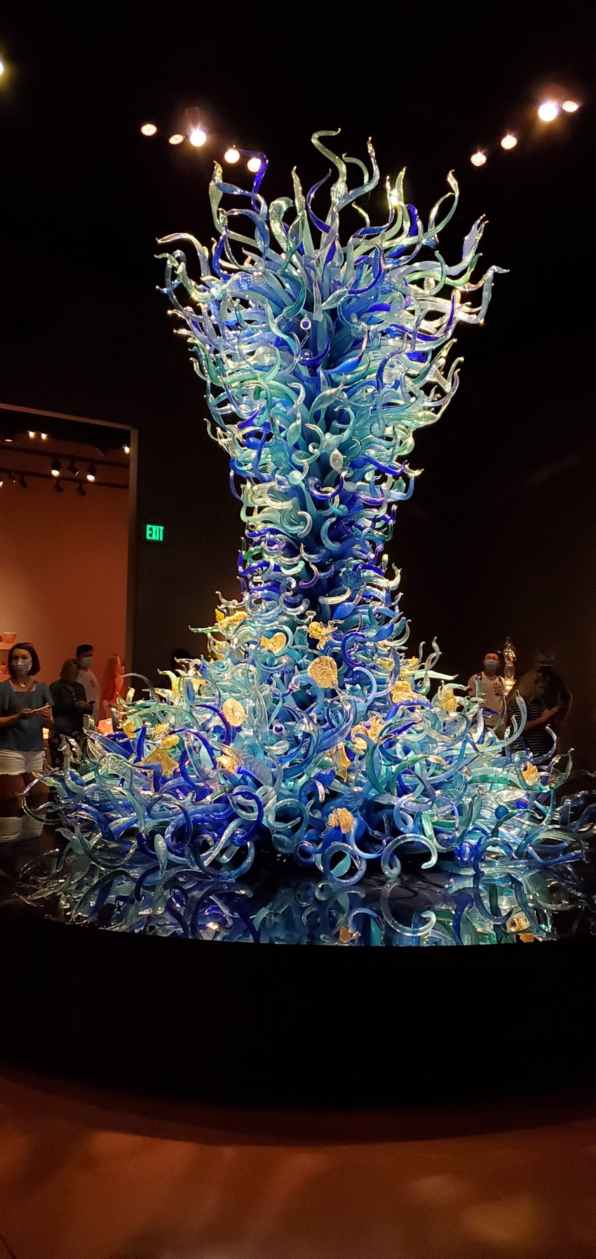 20210625_143840.jpg