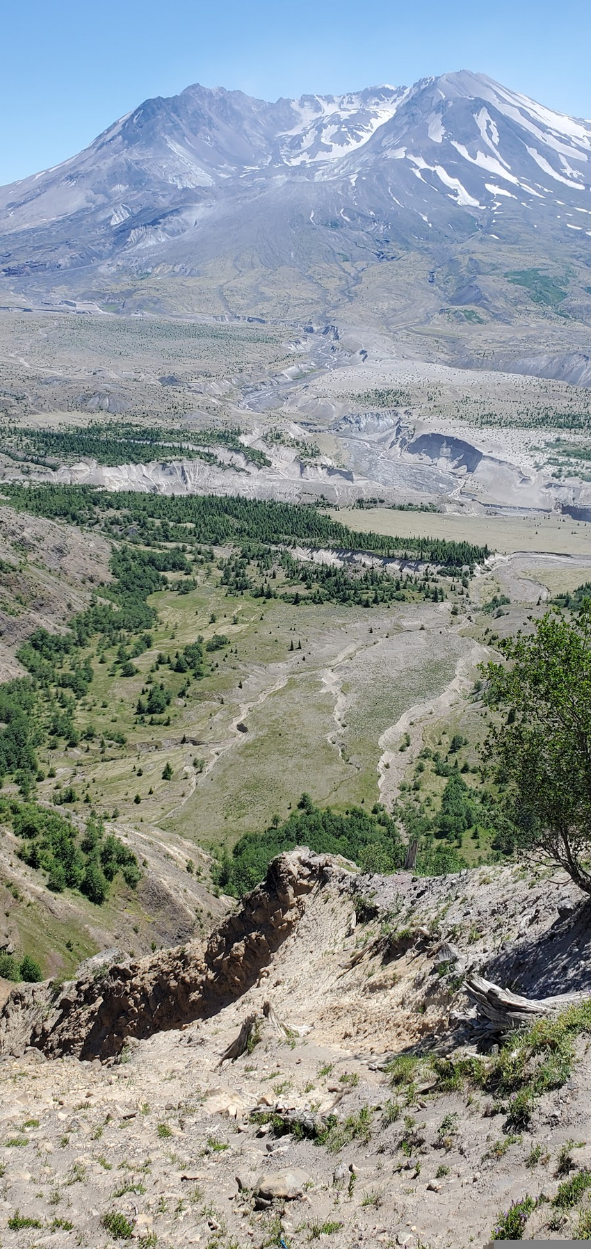 20210627_141835.jpg