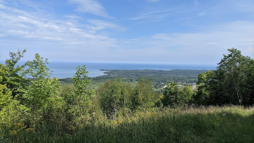 PXL_20210828_173321329.jpg