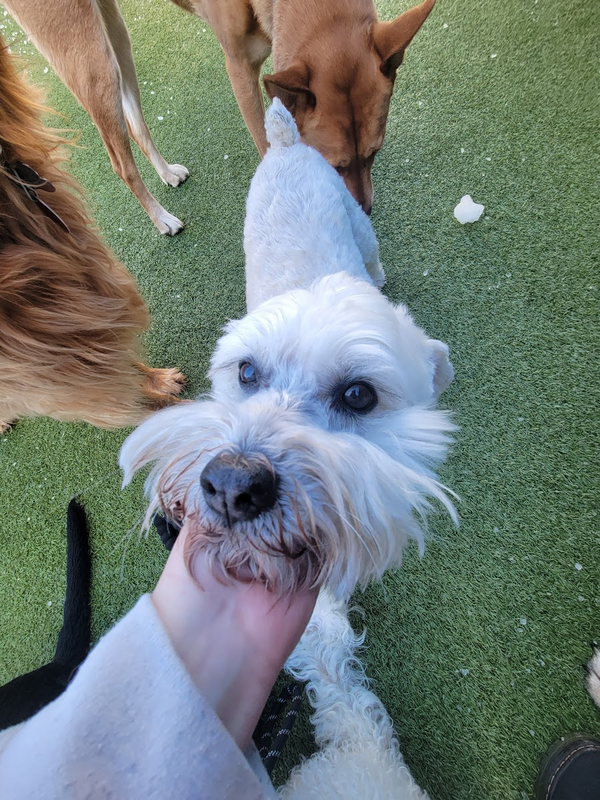 01d9f218-2103-4f7d-92fb-ffc1ec18a639.jpg
