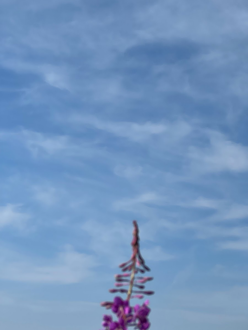 5d807931-52ae-4a60-9ed5-c354702a23ac.HEIC
