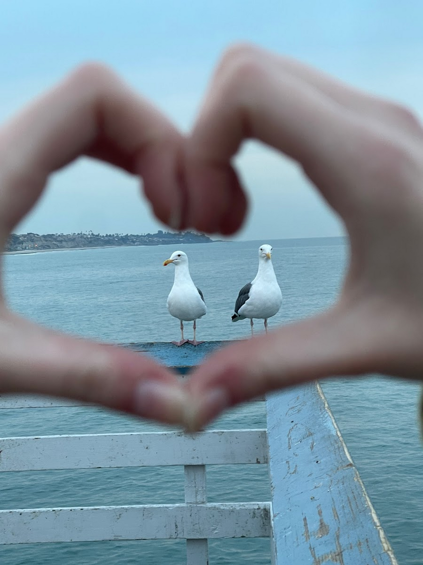 6d4ccb52-d63b-42c7-ae3e-df9784c45f48.JPG