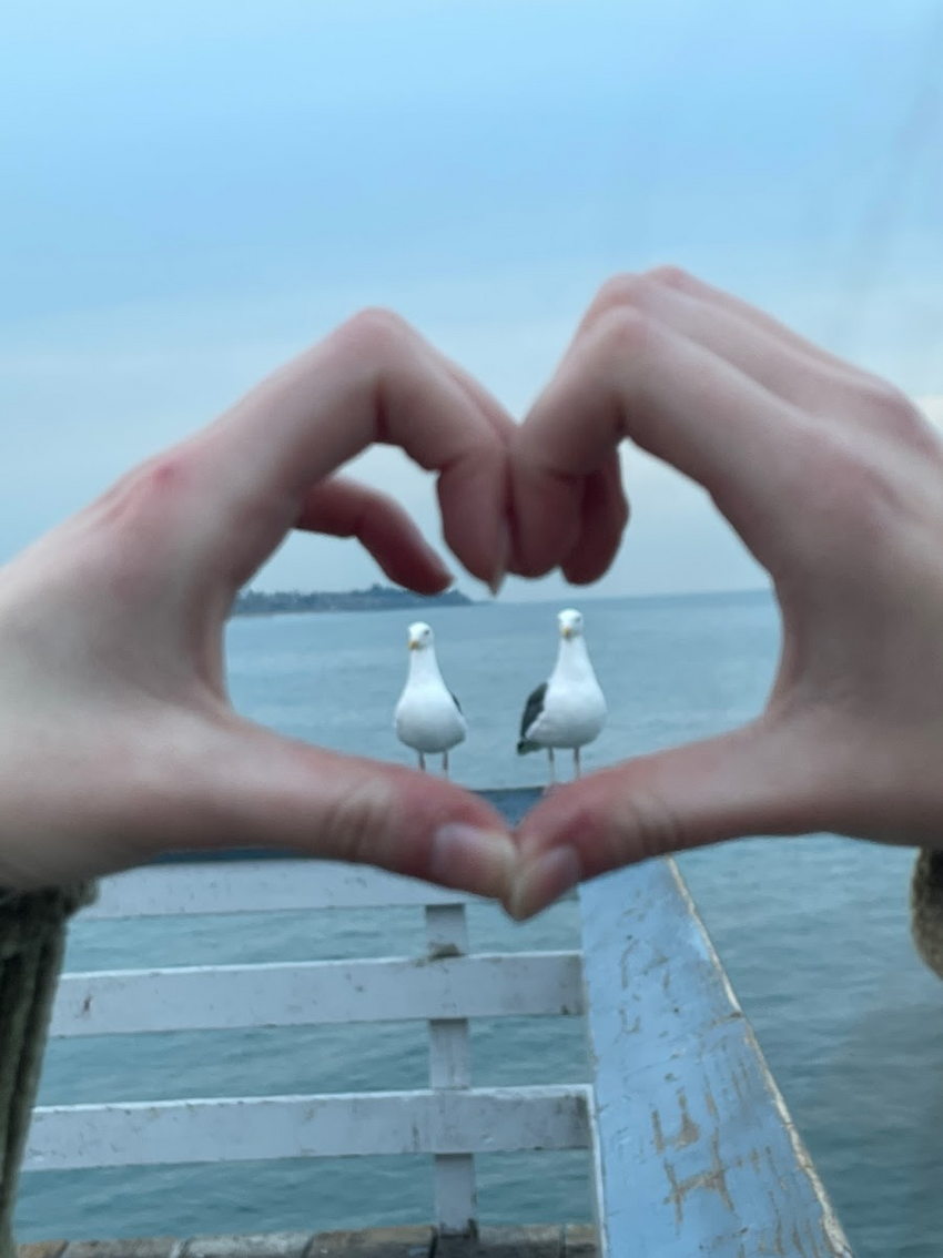 f8ac1372-73c7-4f3b-9dd7-a761c3794c50.JPG